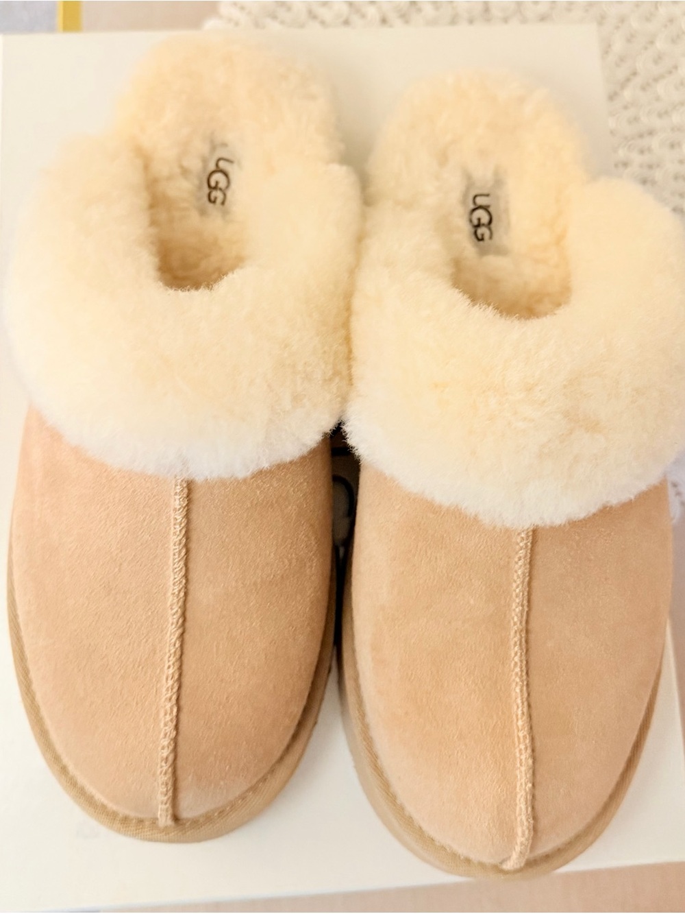 UGG Diskette Sheepskin Slippers with Cream Fur Collar (Women)